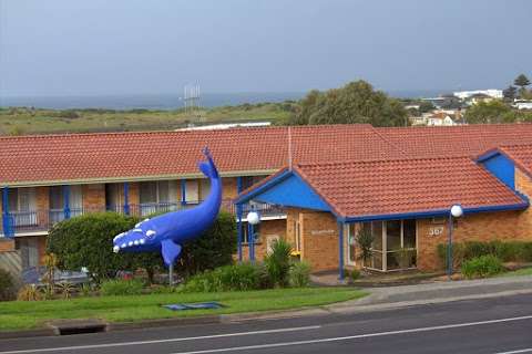 Photo: Blue Whale Motor Inn & Apartments